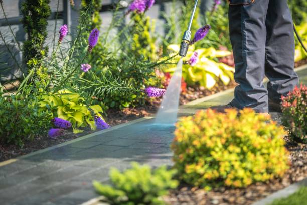 Professional Pressure Washing Services in Hawkinsville, GA